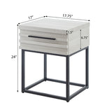 Celestial Contemporary Storage End table, White T2574P163352