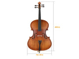 Full Side 4/4 Matte Natural Color Spruce Panel Cello with Bag Bow Rosin Bridge Strings 48508763