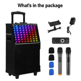 12in 60W with LED spectrum light, Bluetooth remote control, pull rod speaker 66310673