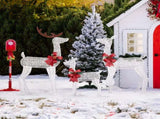 3-Piece Lighted Christmas Reindeer Family Set Outdoor Decorations, Weather Proof 2D Deer Family Set 16055892