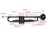 Nickel Plating Trumpet Gloves Set Black 10912829
