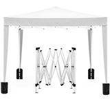 ZUN 10x10 EZ Pop Up Canopy Outdoor Portable Party Folding Tent with 4 Removable Sidewalls + Carry Bag + W1205105943