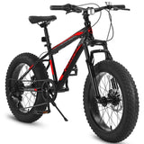 ZUN S20109 Kids' Bike 20 Inch Wheels Fat Tire Bike, 4" Wide Fat Tire Snow Mountain Bike Ages 8-12 Year W2563P156283