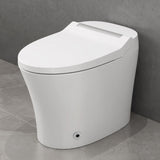 Smart toilet with Built-in Seat, One Piece Elongated Modern Toilet with Adjustable Temp N753P222587W