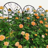 2 Pack Metal Garden Trellis 86.7" x 19.7" Rustproof Trellis for Climbing Plants Outdoor Flower 46403459