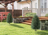 Artificial Plant/Green plants 18366060