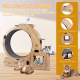 Cat Wheel 6-in-1 Cat Exercise Wheel,Upgraded Cat Wheel Exerciser for Indoor Cats,Large Cat W1790133437