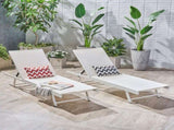 Outdoor Chaise Lounge Set of 2, 5-Position Adjustable Backrest, White Steel Frame with Textilence N770P395917K