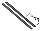 2x Trunk Lift Supports Shocks Fit for Mercedes-Benz GL350 GL450 GL550 ML350 W166 81797537