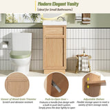 15.75" Bathroom Vanity with Reversible Resin Sink, MDF Cabinet with Adjustable Shelf and N729P285513N