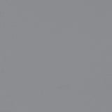 Set of 2 Polypropylene Side Chairs, Grey B016P223225