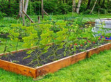 U-Shaped Garden Arch Trellis for Climbing Plants, 49.6x47.2in Adjustable Width , 18489256