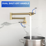 Pot Filler Faucet - Wall Mount Kitchen Sink Faucet Folding Stretchable with Single Hole Two Handles, W1243P262577