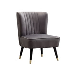 ZUN Elon Contemporary Velvet Upholstered Accent Chair, Gray T2574P172742