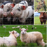 Farm Fence 3ft x 164ft 13Gauge Heavy Zinc Coating Cattle Fence,Galvanized Field Wire Fencing Deer W2286P270126