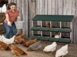 8 Comparment Chicken Nesting Box, No Stand wtn Sot Egg Pads. 0.8mm Top Cover & 0.6mm Galvanzed Steel W5251P556802