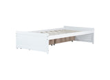 Twin Size Bed with 2 Drawers, Solid Rubber Wood Bed,White W504P313037