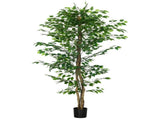 Artificial Plant/Green plants 18700852