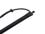 Pair Rear Power Tailgate Lifts Support Hatch Struts fit for Toyota RAV4 2019-2021 58131587