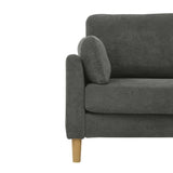 Modern Minimalist 2-Seater Sofa B343P316287