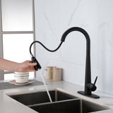 ZUN Kitchen Faucets with Pull Down Sprayer, Kitchen Sink Faucet with Pull Out Sprayer, Fingerprint 88256761