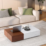 Modern style walnut coffee table with two storage spaces W1320P193293