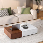 ZUN Modern style walnut coffee table with two storage spaces W1320P193293