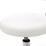 ZUN Round Shape Adjustable Salon Stool with Back and Line White 46930452