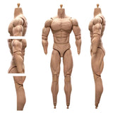 1/6 Scale BD003 Muscular Male Action Figure Body fit for Soldier Head 07542677