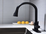 Kitchen Faucet with Pull Out Spraye 34863957