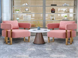 TS Modern decorative chair, living room side chair with gold metal legs, no wheels, suitable for 56063728