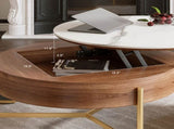 Modern Lift-Top Round Coffee Table with Hidden Storage, Walnut Veneer & Sintered Stone Top,3 W3136P305600