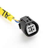 K20 K24 Engine Wiring Harnesses Fit For Honda Acura K-Swap Integra CRX EK EG Harness Fit For RSX 19496654