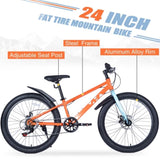 ZUN 24 Inch Bicycles , Fat Tire Mountain Bike for Boys and Girls Age 10 + Years ,Dual-Disc Brake,Shimano W1019P203876