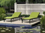 2PCS Set Outdoor Lounge Chair Cushion Replacement Patio Funiture Seat Cushion Chaise Lounge Cushion W2911P286269