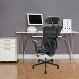Mesh Office Chair,Ergonomic Office Chairs with Wheels,Adjustable Lumbar T3060P270150