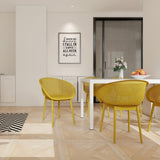 2-Pack Modern Lounge Chairs Indoor/Outdoor All-Weather PP Plastic, Lightweight for Patio, Beach, W3450P323313