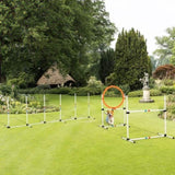 Dog Agility Equipment Set of Eight Cones 77882220