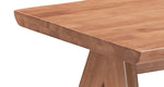 ZUN Natural Accent Table B062P209121