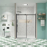 Glass shower door, sliding door, with 5/16" tempered glass and Matted Black finish 5474 W2122P229053