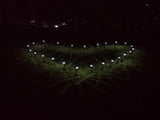24pcs 5W High Brightness Solar Power LED Lawn Lamps with Lampshades White & Silver 80457389