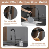 Kitchen Sink Faucet with Soap Dispenser, Kitchen Faucet with Pull Down Sprayer 2 Modes 304 Stainless W1932P300995