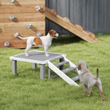 Wooden Dog Training Place Board 40292551