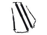 2x Tailgate Power Trunk Hatch Lift Support Shock Fit for Toyota RAV4 Limited 2.5L L4 44436334