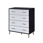 ZUN Black and Silver 4-Drawer Chest B062P209044