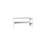 ZUN Shoe Rack 13.7" H, with 2 Shelves, White B097P250840