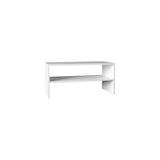 ZUN Shoe Rack 13.7" H, with 2 Shelves, White B097P250840