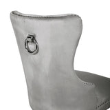 Erica 2 Piece Wood Legs Dinning Chair Finish with Velvet Fabric in Light Gray 808857794864