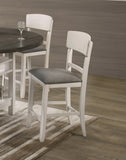2pc Transitional Upholstered Counter Height Dining Chair Bar Stools Chalk Gray Finish Wooden B011P148062