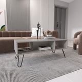 Vassel Coffee Table, Hairpin Legs, Two Shelves B070P234335